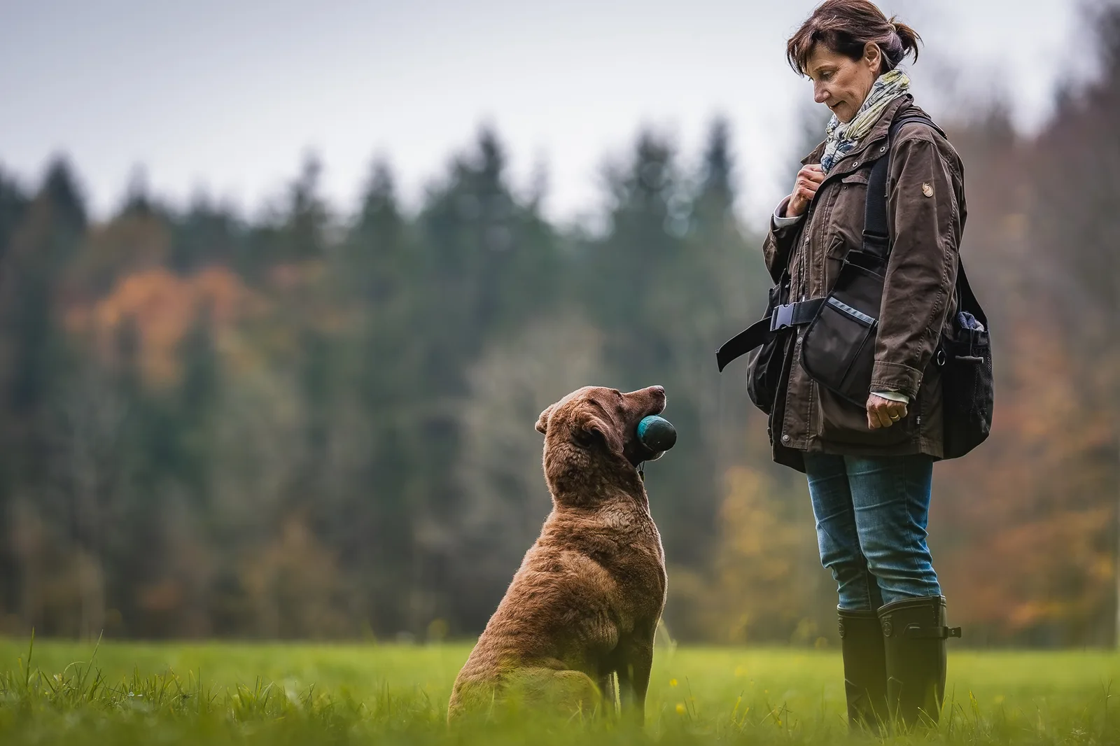 Ein Hund sitzt neben Petra Dürr auf der Wiese und hält einen Dummy im Maul