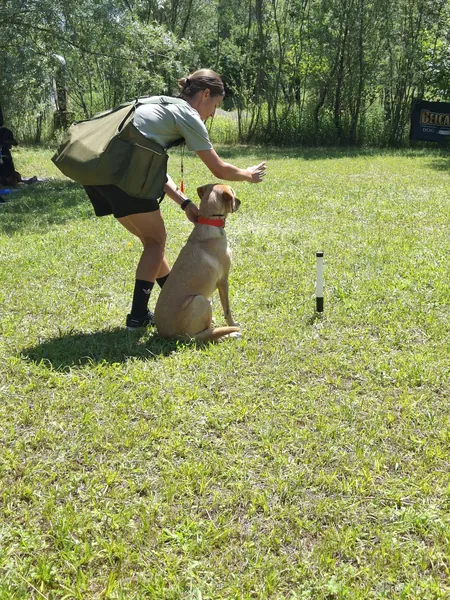 Eine Trainerin steht neben einem jungen Hund, dahinter eine Markierstange