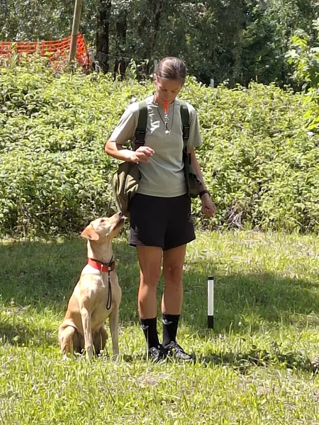 Eine Trainerin steht mit einem jungen Hund auf einer Wiese