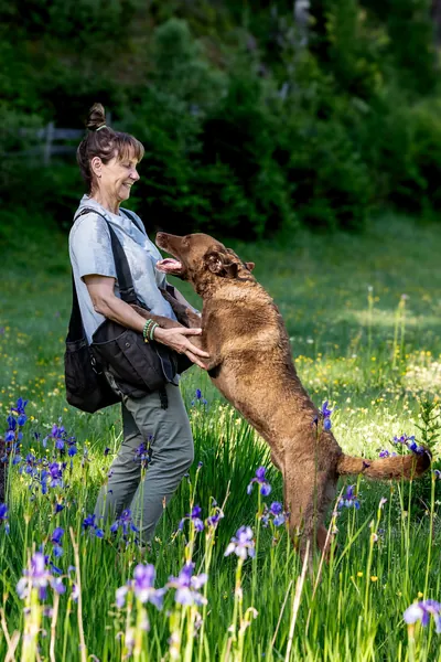 Petra Dürr in einer Blumenwiese, ein Hund springt an ihr hoch