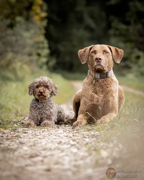 Victor und Emilio sitzen nebeneinander auf einem Kiesweg im Herbst