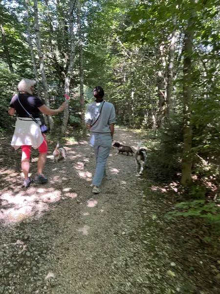 Zwei Menschen gehen mit Hunden an lockerer Leine durch den Wald