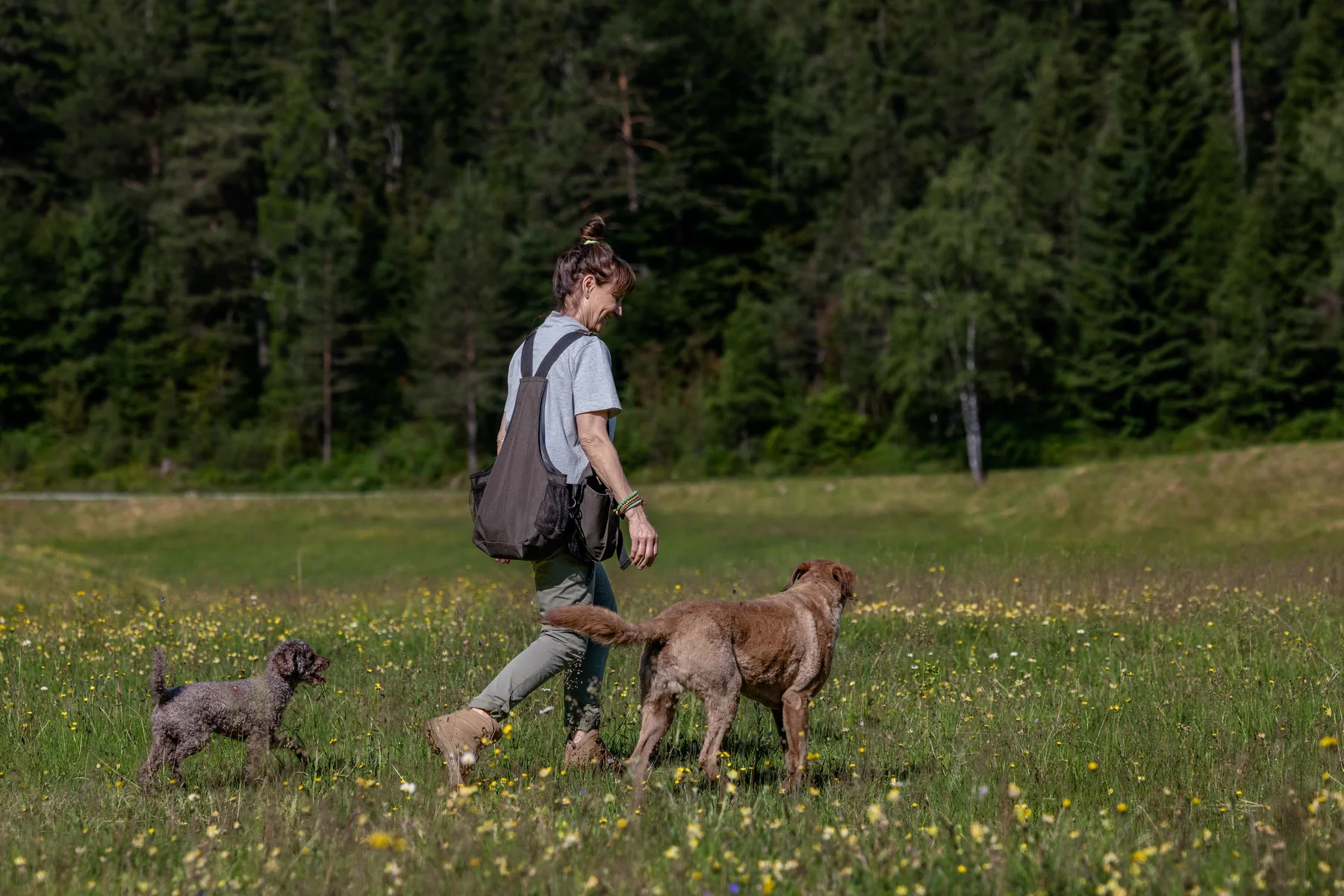 Petra geht mit ihren beiden Hunden gemeinsam durch die Wiese